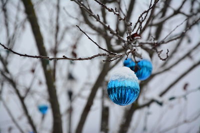 Close-up of christmas decoration hanging on tree