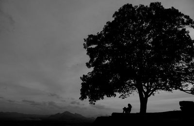 Low angle view of silhouette trees against sky at sunset