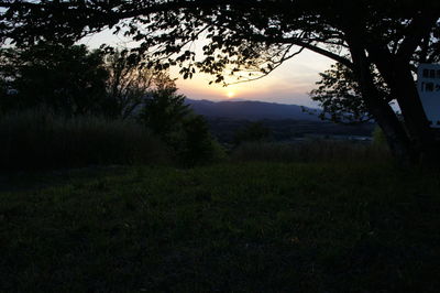 Silhouette trees on field against sky during sunset