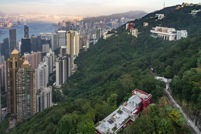 High angle view of buildings and trees in city