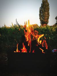 Bonfire on wooden structure against sky