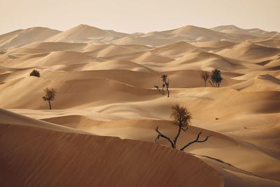 Scenic view of desert against sky