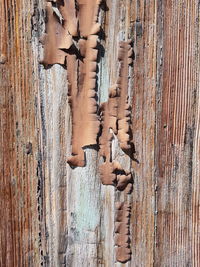 Full frame shot of rusty metal on wood