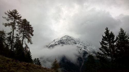 Low angle view of trees and mountains against sky