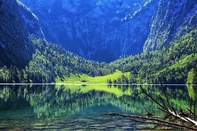 Scenic view of lake in forest