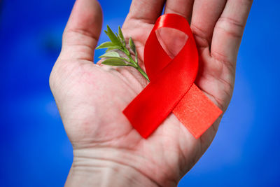 Cropped hand holding aids awareness ribbon and plant