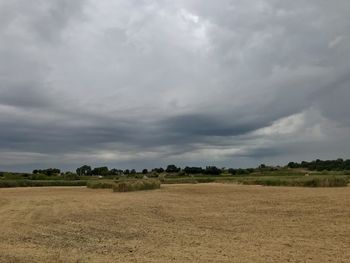 Scenic view of agricultural field against sky