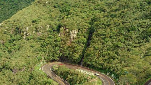 High angle view of road amidst trees in forest.