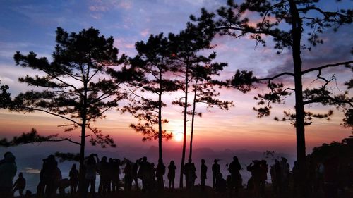 Silhouette people looking at tree against sky during sunset