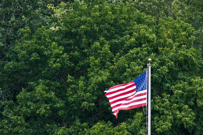 Red flag amidst plants against trees