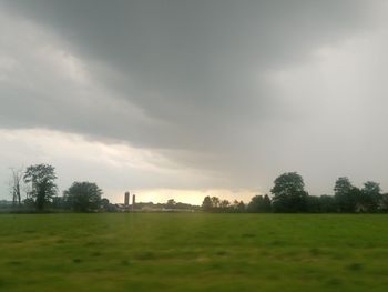 Trees on field against sky