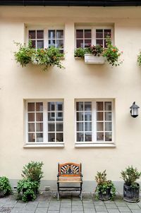 Potted plant on table by window of building