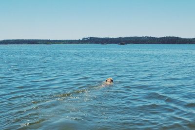 Scenic view of swimming in sea against clear sky