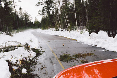 Snow covered road amidst trees in forest
