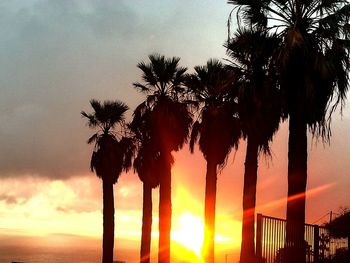 Silhouette of palm trees against sunset sky