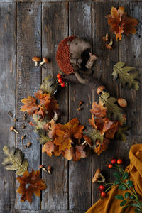 Close-up of dry leaves on wooden wall