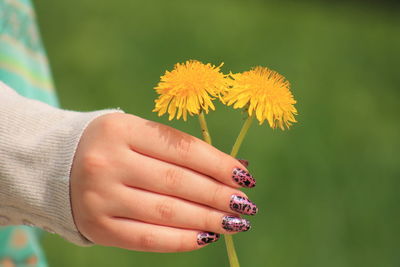 Cropped image of woman with nail art holding yellow flowers