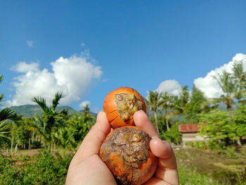 Cropped hand holding globe against sky