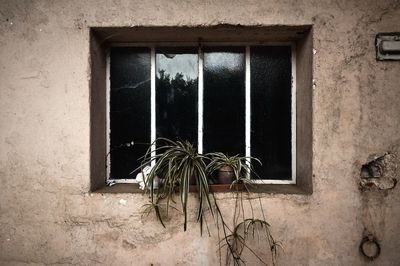 View of window in abandoned building