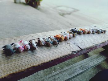 Close-up of multi colored candies on table