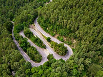 Winding road through the forest, from high mountain pass, in summer time