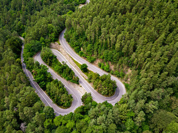 High angle view of winding road amidst trees