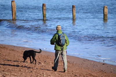 Full length of dog standing on beach