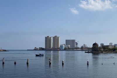 Birds swimming in lake against buildings in city