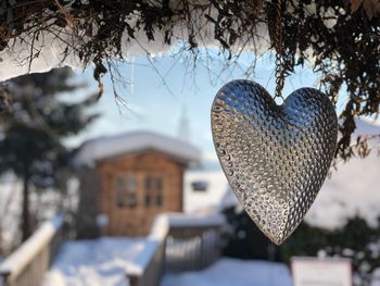 Close-up of heart shape on tree against building