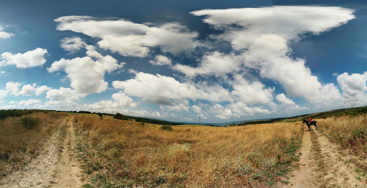 sky, landscape, cloud - sky, grass, tranquil scene, tranquility, the way forward, walking, field, dirt road, cloud, scenics, nature, leisure activity, men, cloudy, full length, lifestyles