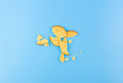 High angle view of yellow leaf floating on water
