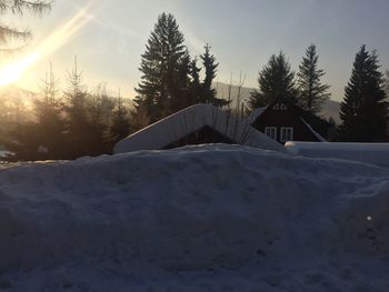 Snow covered trees by mountains against sky during sunset