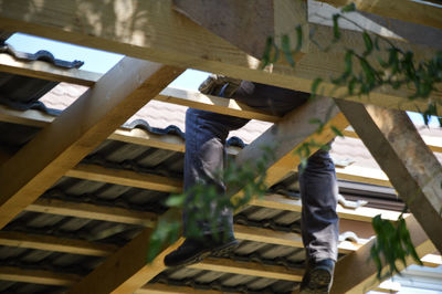 Low angle view of bird on building