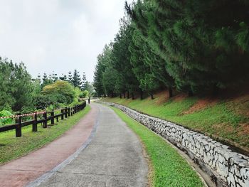 Road amidst trees against sky