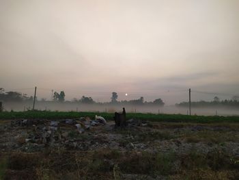 Scenic view of field against sky during sunset