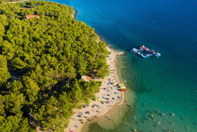 Beach with the pine forest near pakoštane, adriatic coast in croatia