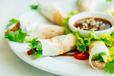 Close-up of wrap sandwich served food in plate