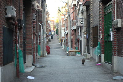 Street amidst buildings