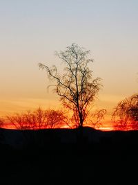 Silhouette bare tree on field against sky at sunset