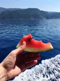 Cropped image of hand holding watermelon by sea