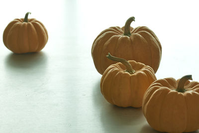 Close-up of pumpkins on table