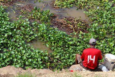 Rear view of man sitting by plants