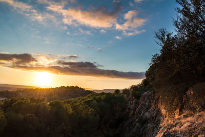 Scenic view of landscape against sky during sunset