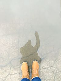 Low section of person standing on ground