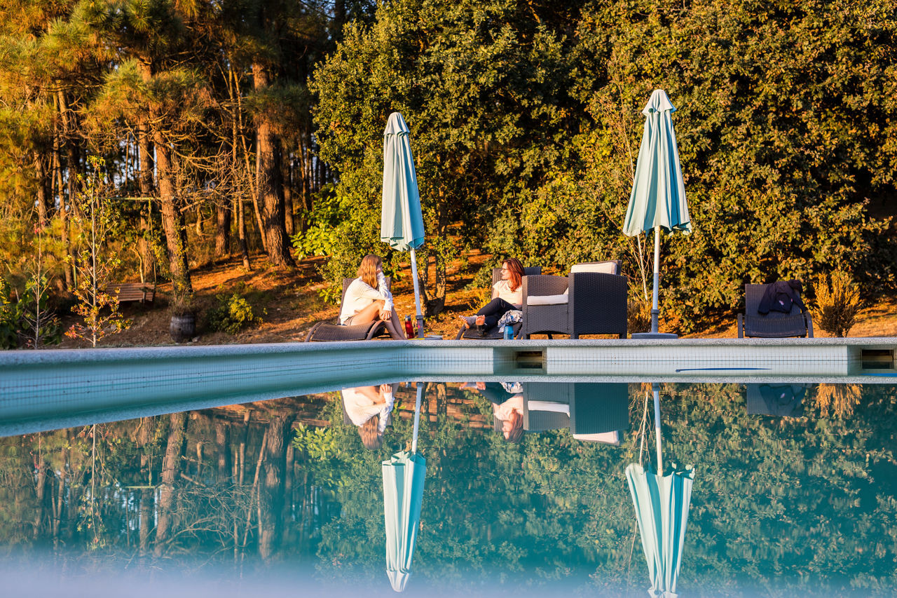 tree, plant, nature, day, water, chair, seat, outdoors, forest, no people, growth, connection, full length, technology, beauty in nature, table, land, tranquility, sunlight