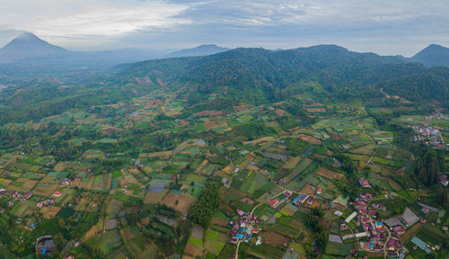 environment