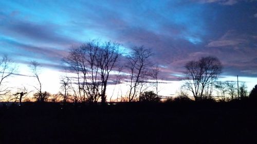 Silhouette of trees at sunset