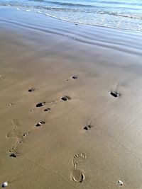 High angle view of footprints on beach
