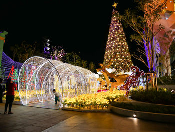 Illuminated christmas tree at night