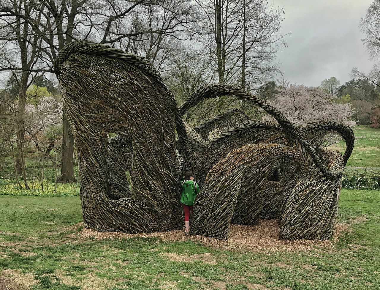 REAR VIEW OF MAN STANDING ON FIELD BY TREES